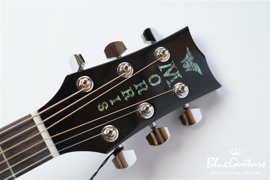 Morris G-021 - See Through Black | Blue Guitars Online Store