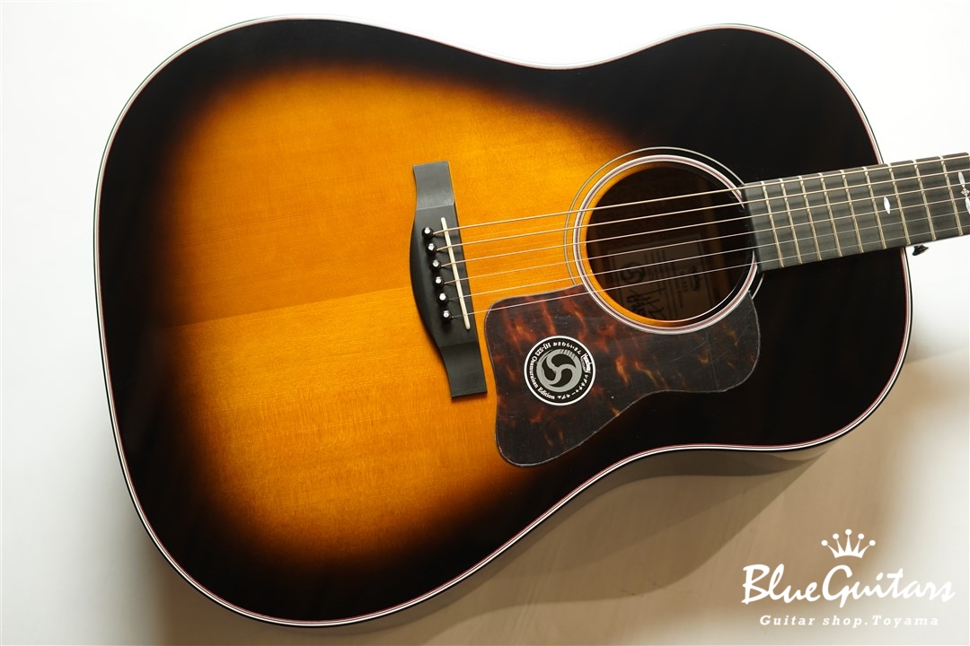 HEADWAY HJ-523 Osamuraisan Edition | Blue Guitars Online Store