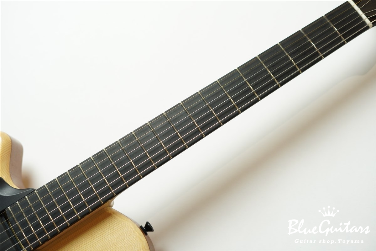 Nishgaki Guitars (Style-N Nishgaki Guitars) Arcus Thinbody Archtop 
