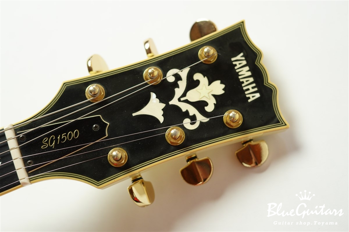 YAMAHA SG-1000-24 - CW | Blue Guitars Online Store