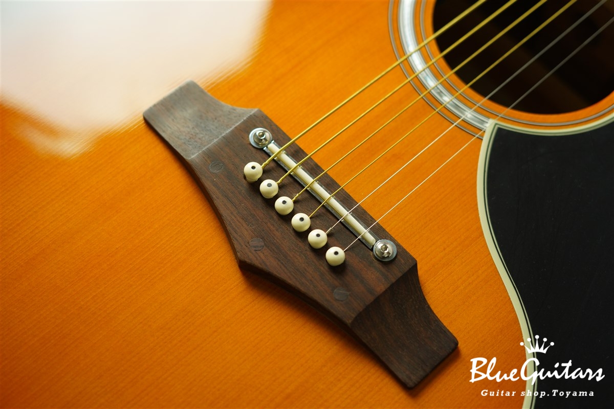 EKO Ranger VI VR EQ - Honey Burst | Blue Guitars Online Store