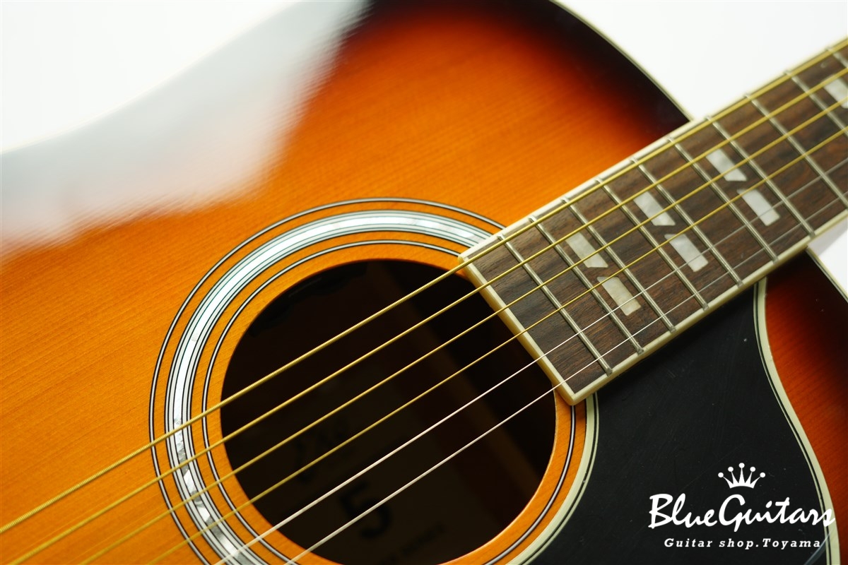 EKO Ranger VI VR EQ - Honey Burst | Blue Guitars Online Store