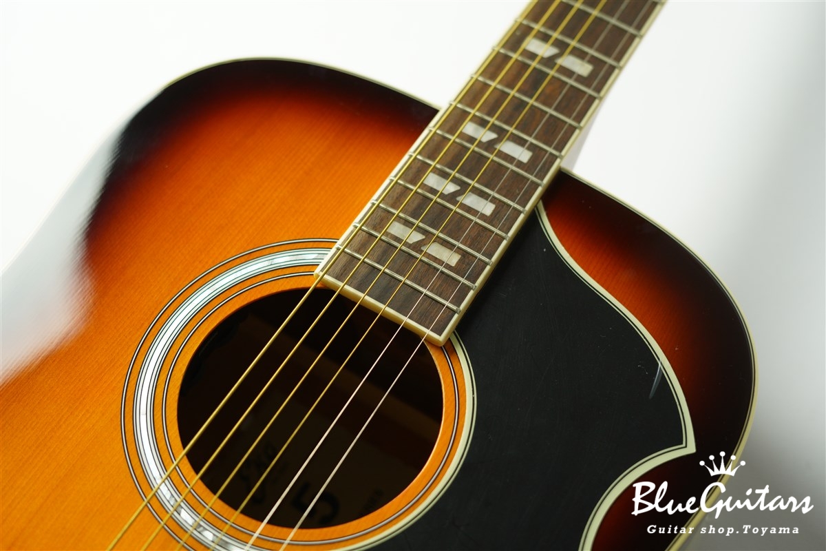 EKO Ranger VI VR EQ - Honey Burst | Blue Guitars Online Store