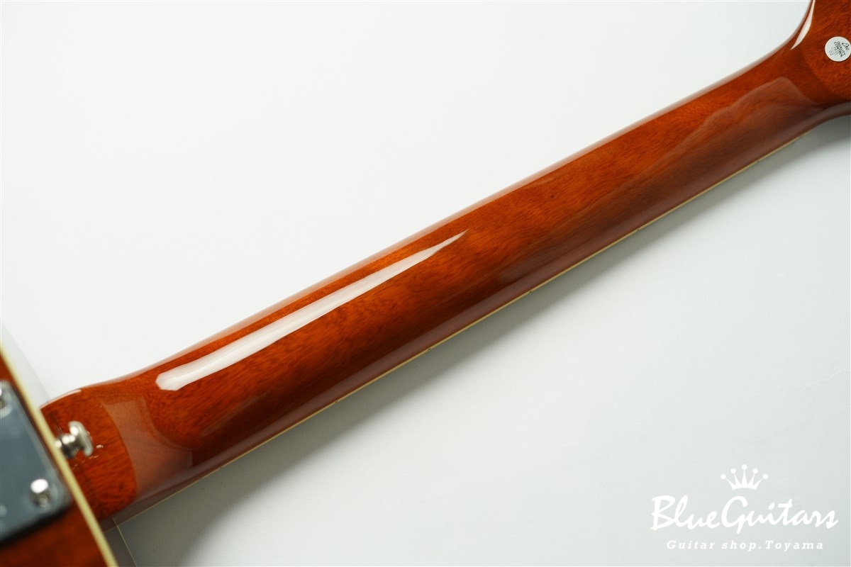 EKO Ranger VI VR EQ - Honey Burst | Blue Guitars Online Store