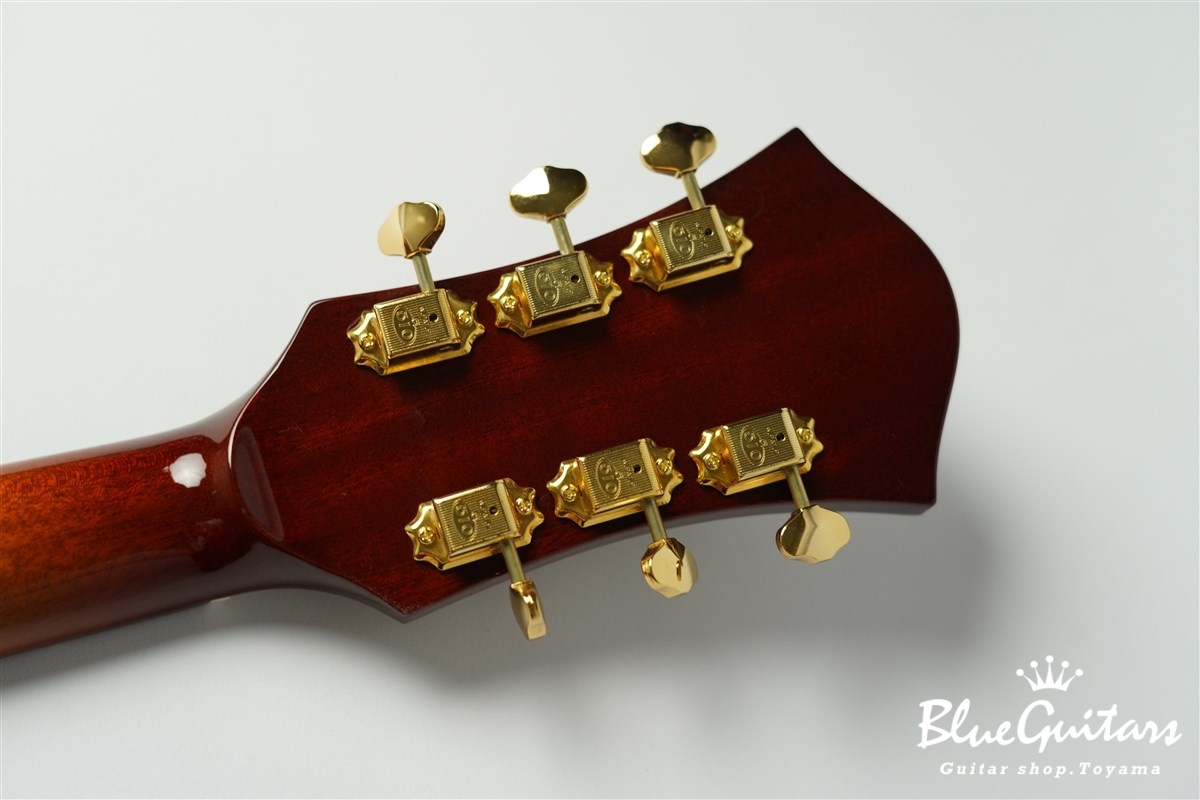 Rozeo Ladybug SM-TBC - RT Burst | Blue Guitars Online Store