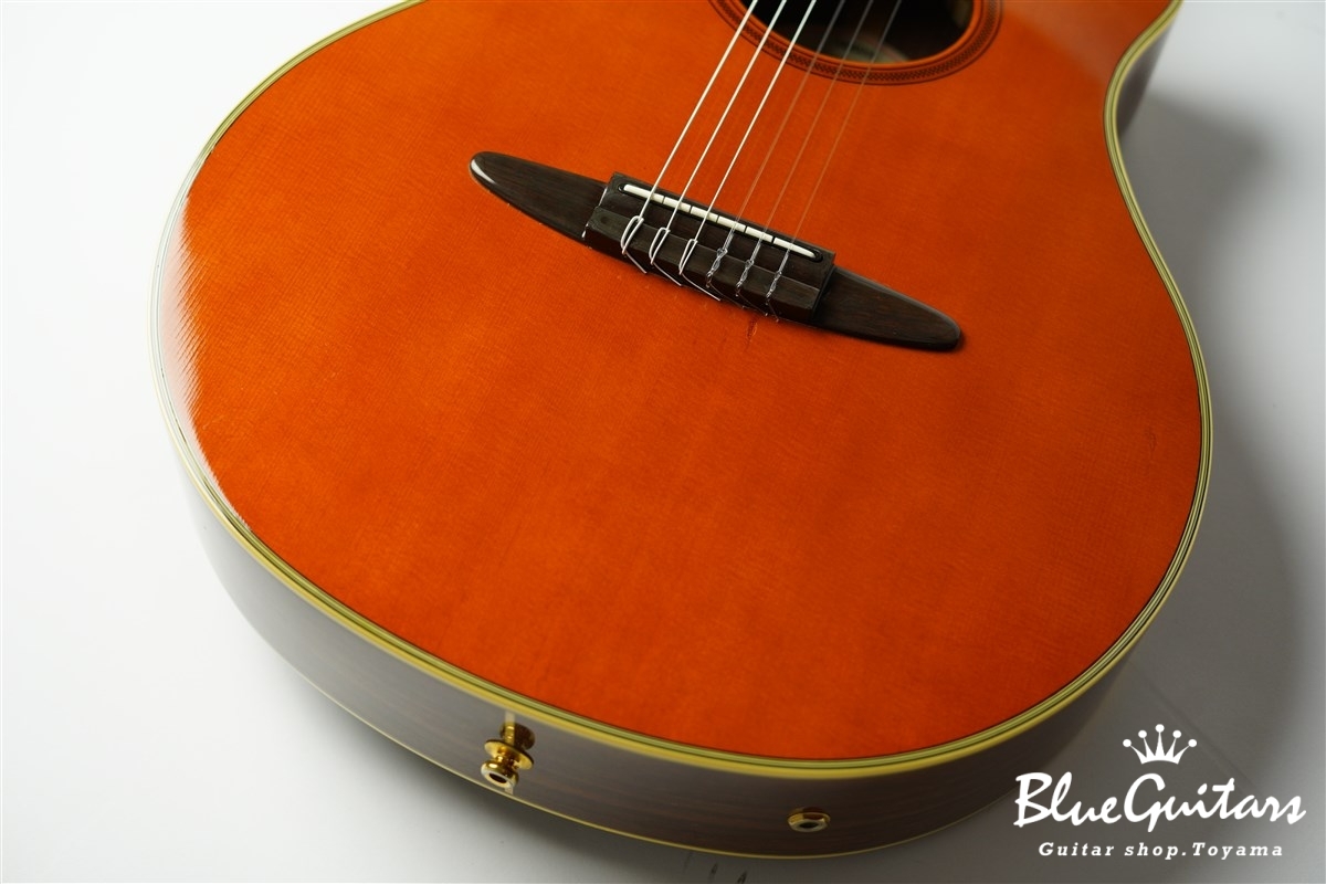 YAMAHA APX-10N | Blue Guitars Online Store