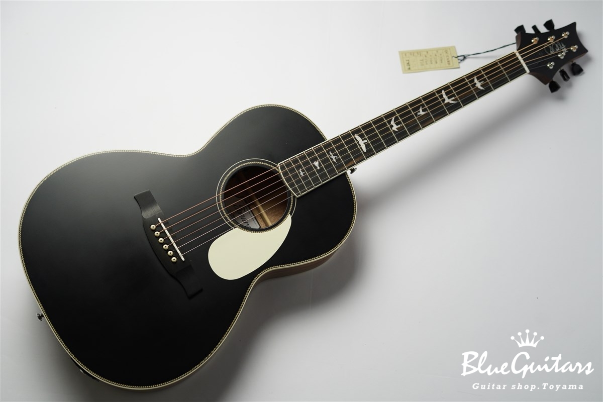 Paul Reed Smith(PRS) SE P20E - Satin Black Top | Blue Guitars