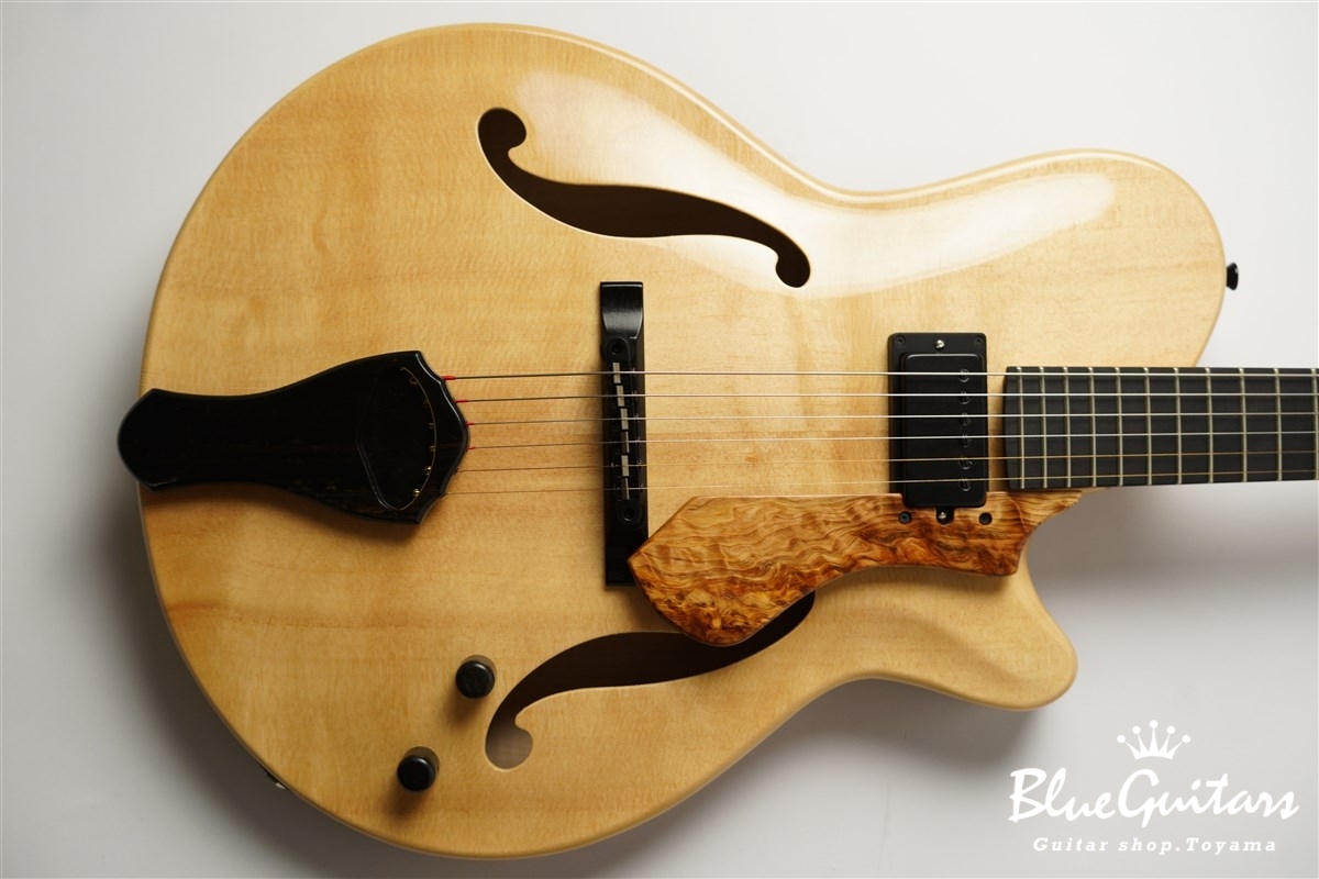 美品】Nishgaki Guitars (Style-N Nishgaki Guitars) Arcus Thinbody 