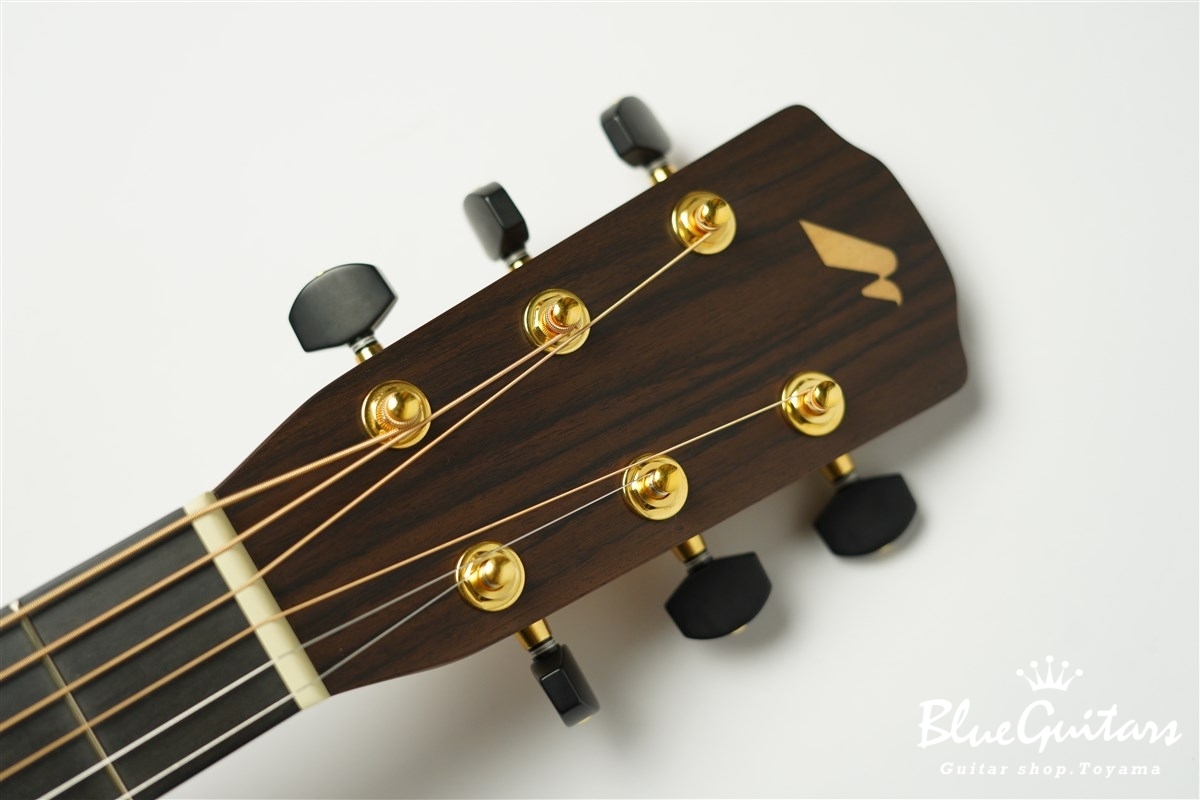 Morris S-101M 南澤大介 Signature Model | Blue Guitars Online Store