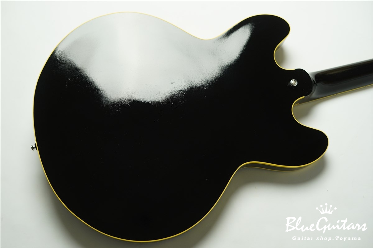 KING SNAKE Smith - Black | Blue Guitars Online Store