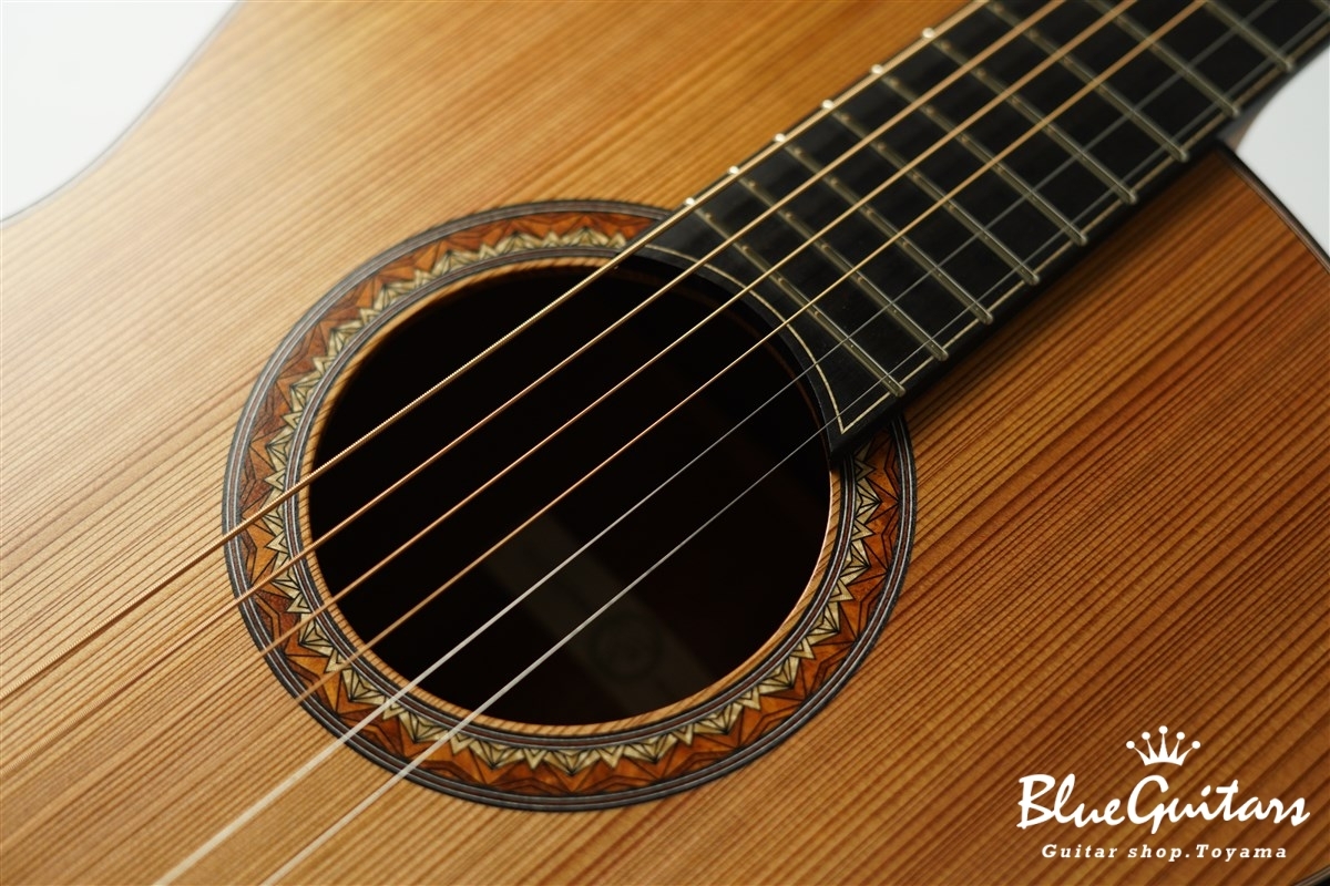 ギター Dr.lake cheiron 58502_Zion_Radicaster_1988_Blu