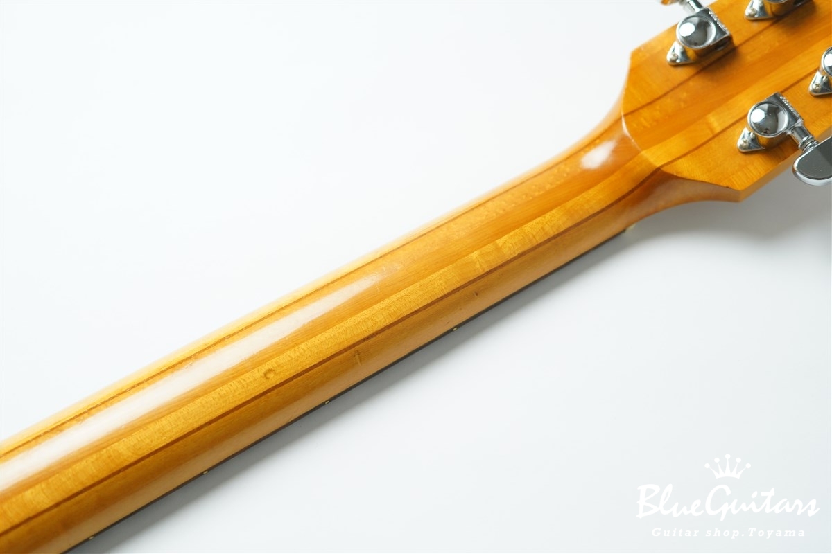 The Kasuga SC-800 SCORPION | Blue Guitars Online Store