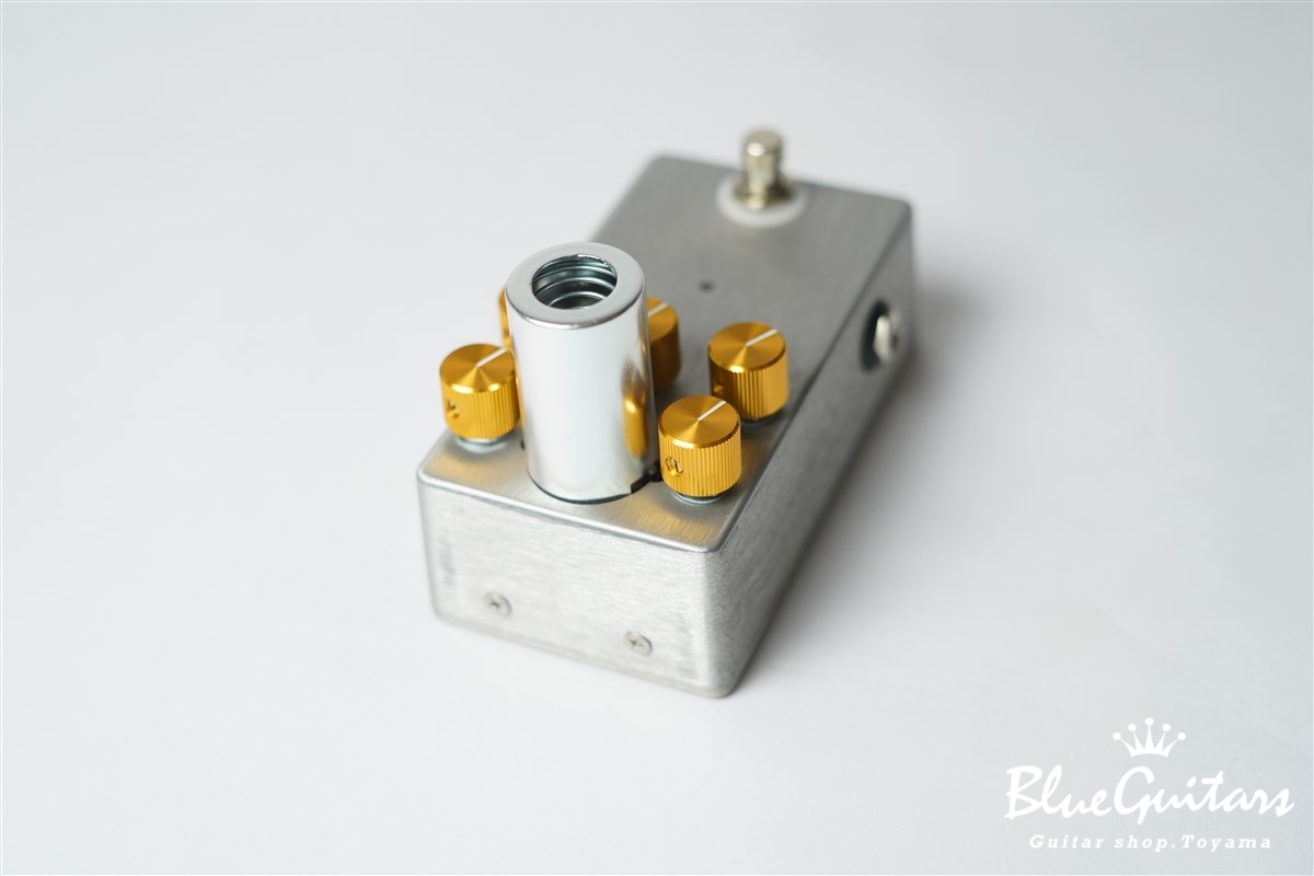 Lee Custom Amplifier VJCM-800 | Blue Guitars Online Store