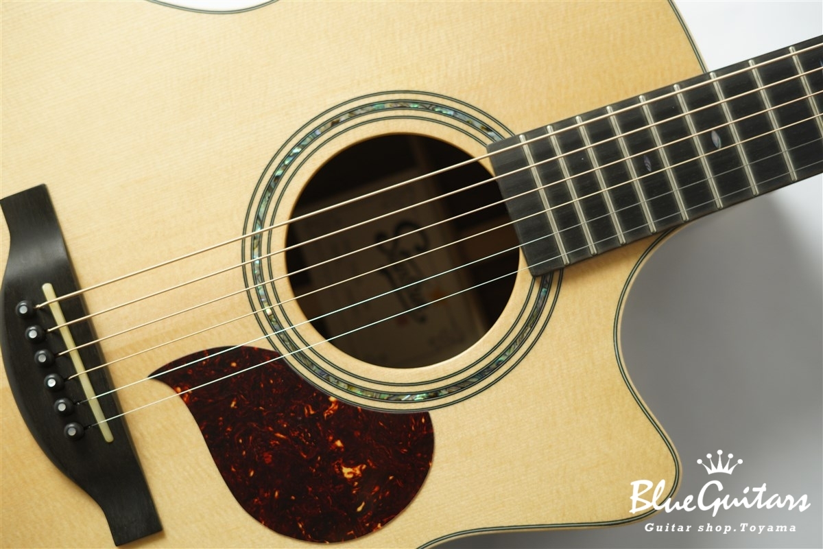 F130-GA Sitka Spruce / Indian Rosewood