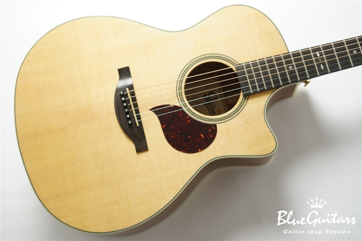F120-GA Sitka Spruce / African Mahogany