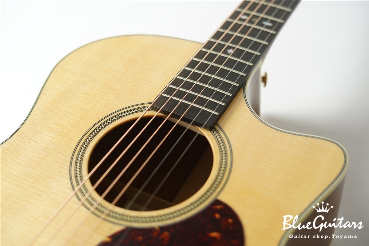 F120-GA Sitka Spruce / African Mahogany