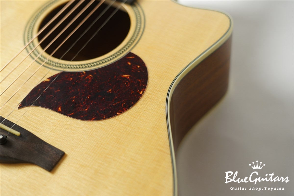 F120-GA Sitka Spruce / African Mahogany