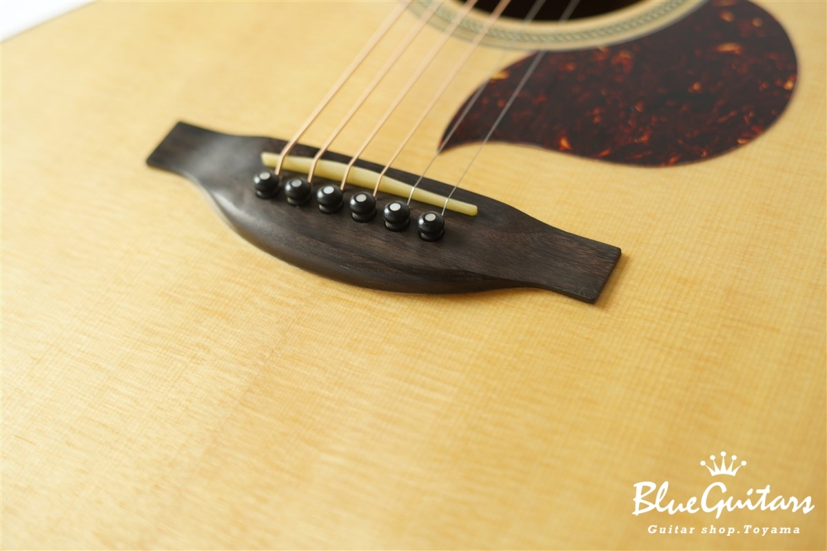 F120-GA Sitka Spruce / African Mahogany