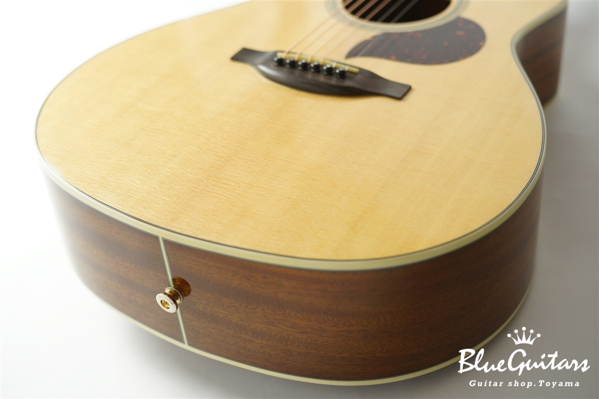 F120-GA Sitka Spruce / African Mahogany