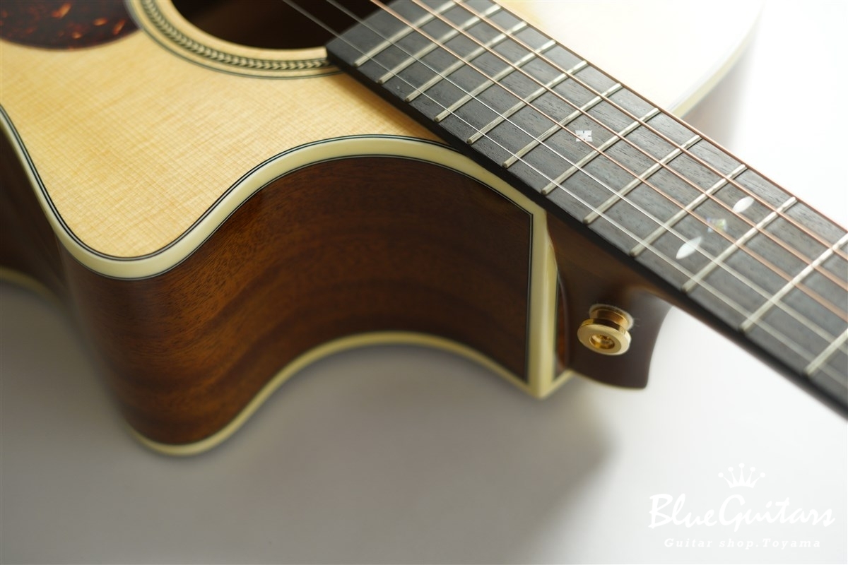 F120-GA Sitka Spruce / African Mahogany