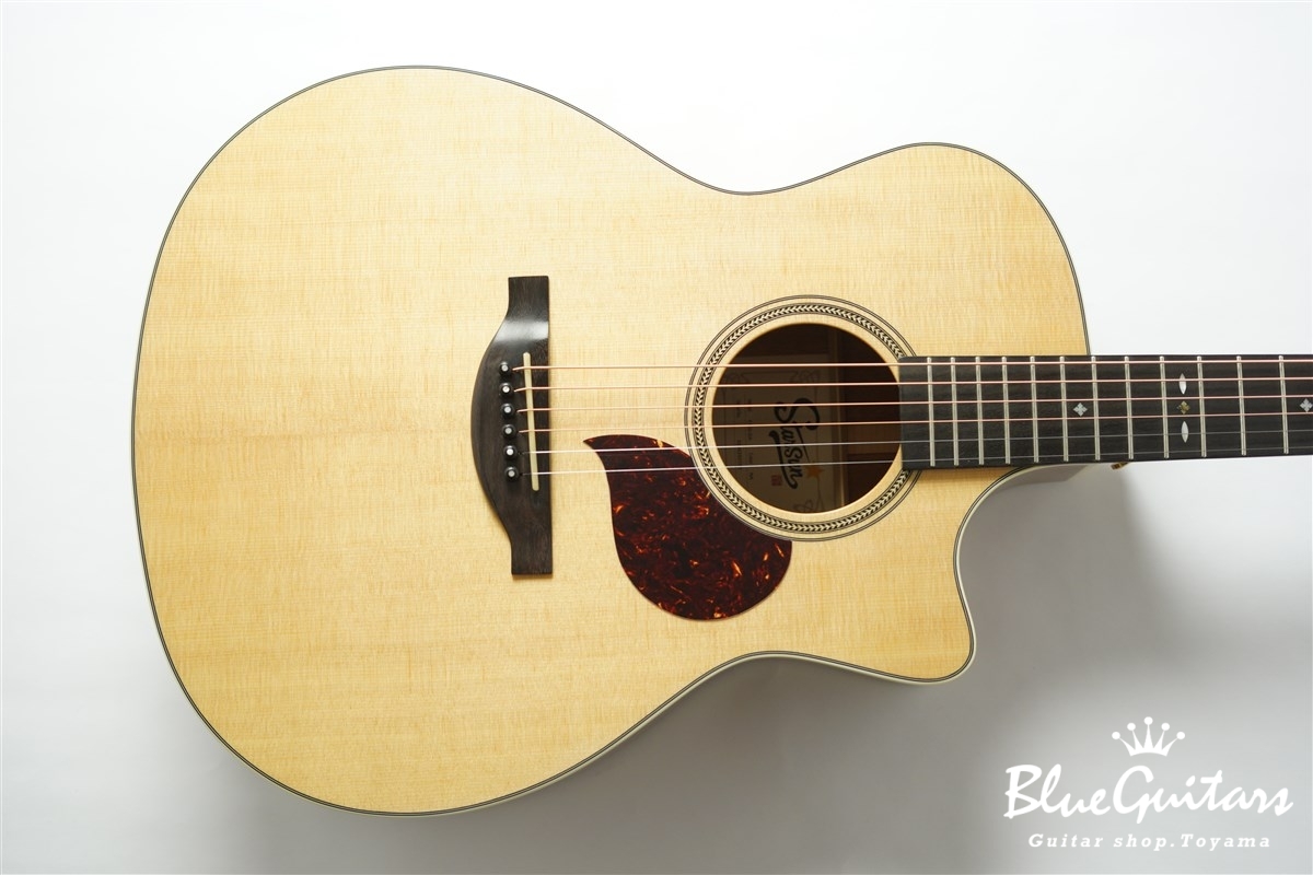 F120-GA Sitka Spruce / African Mahogany