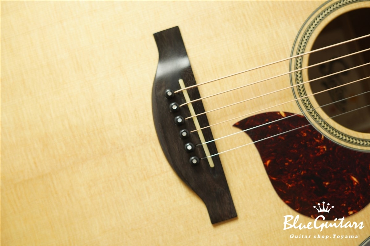 F120-GA Sitka Spruce / African Mahogany