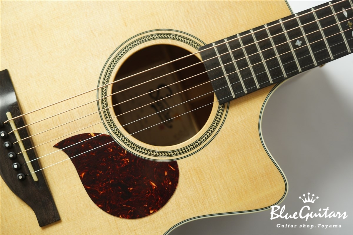 F120-GA Sitka Spruce / African Mahogany