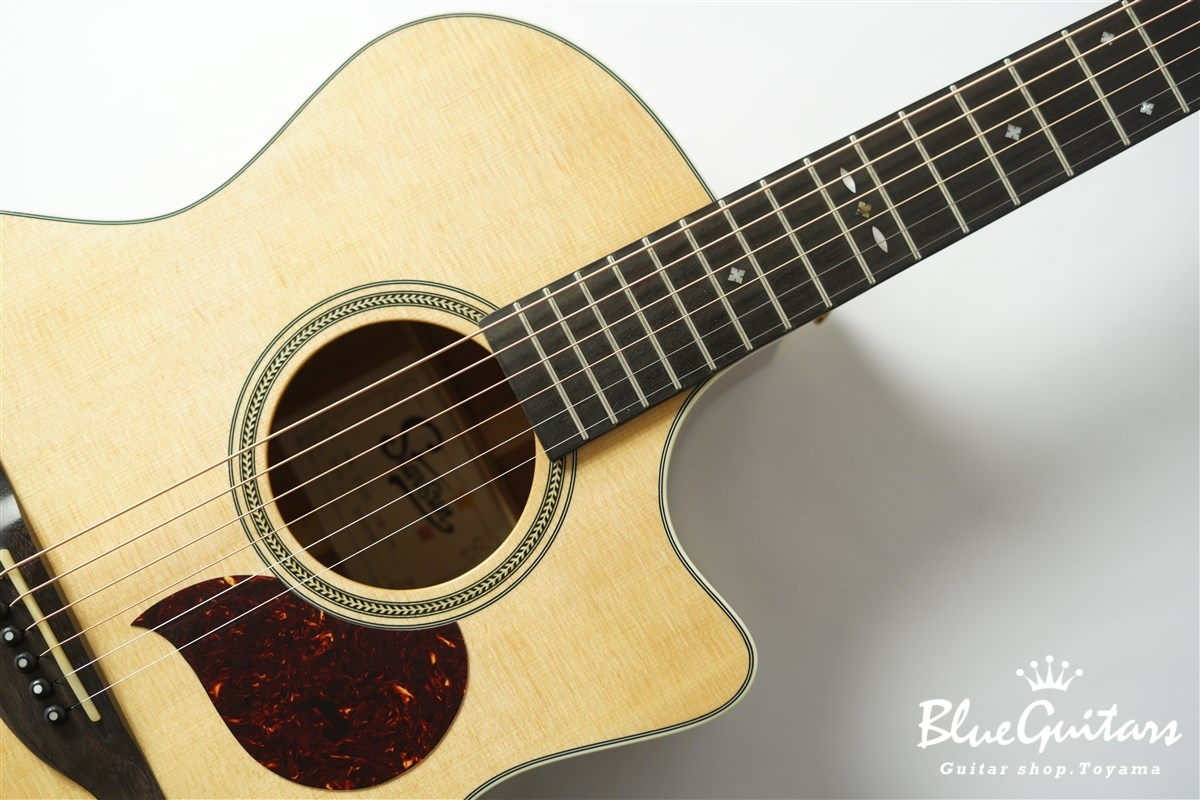 F120-GA Sitka Spruce / African Mahogany