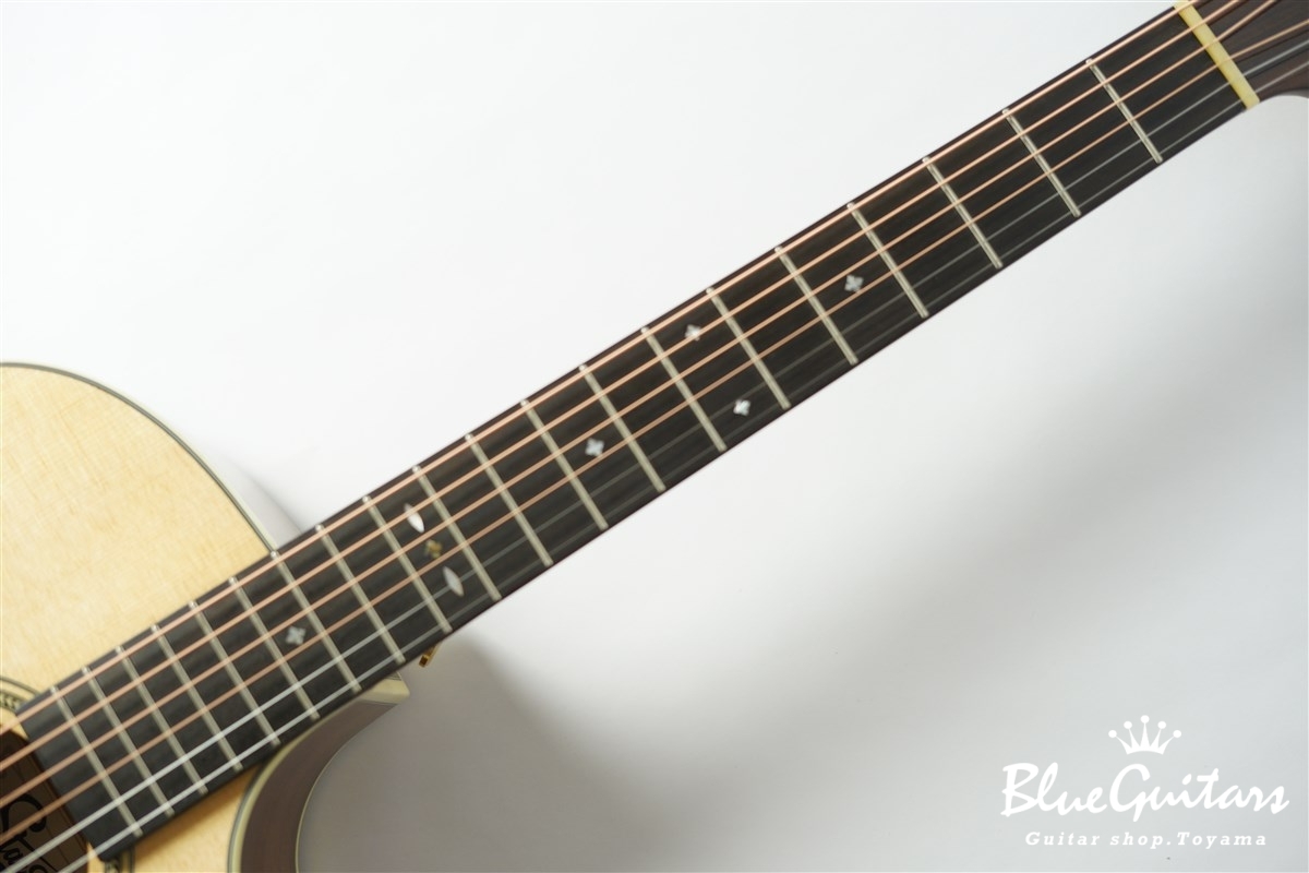 F120-GA Sitka Spruce / African Mahogany