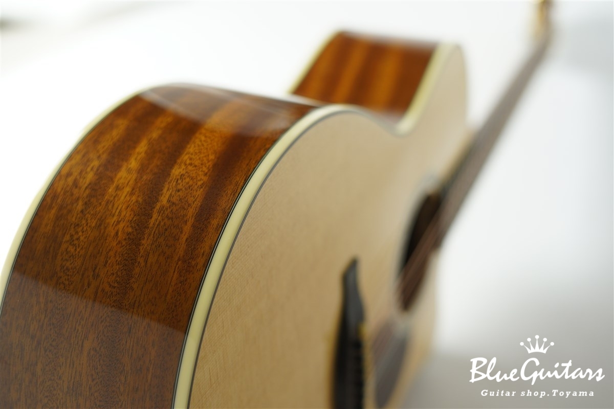 F120-GA Sitka Spruce / African Mahogany