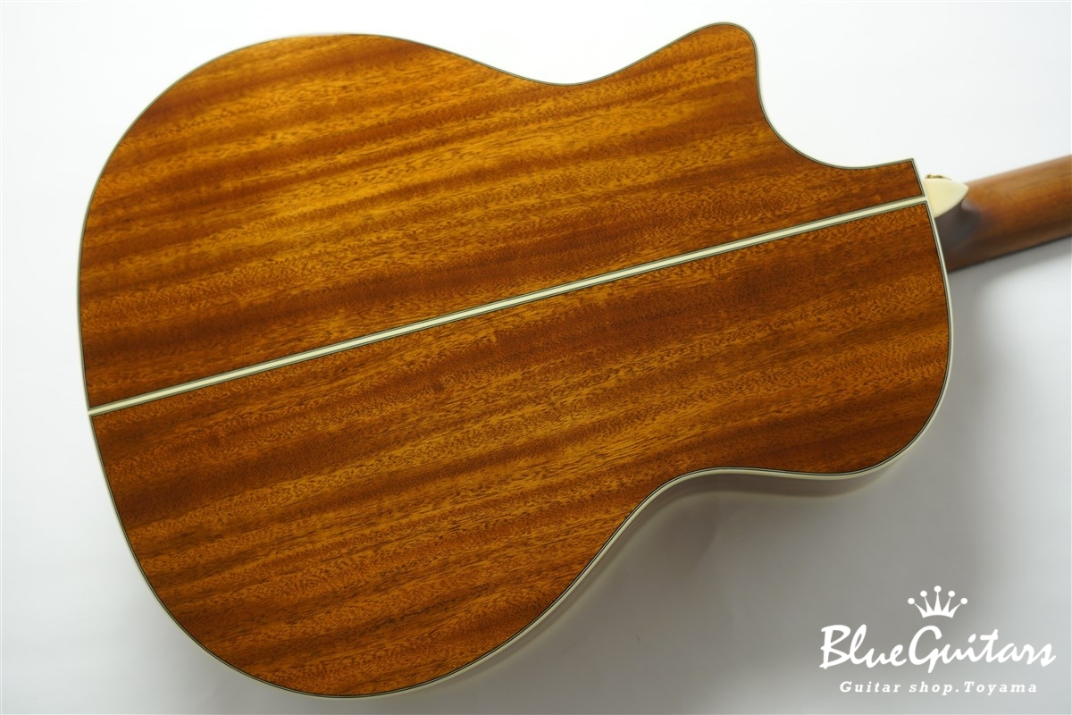F120-GA Sitka Spruce / African Mahogany