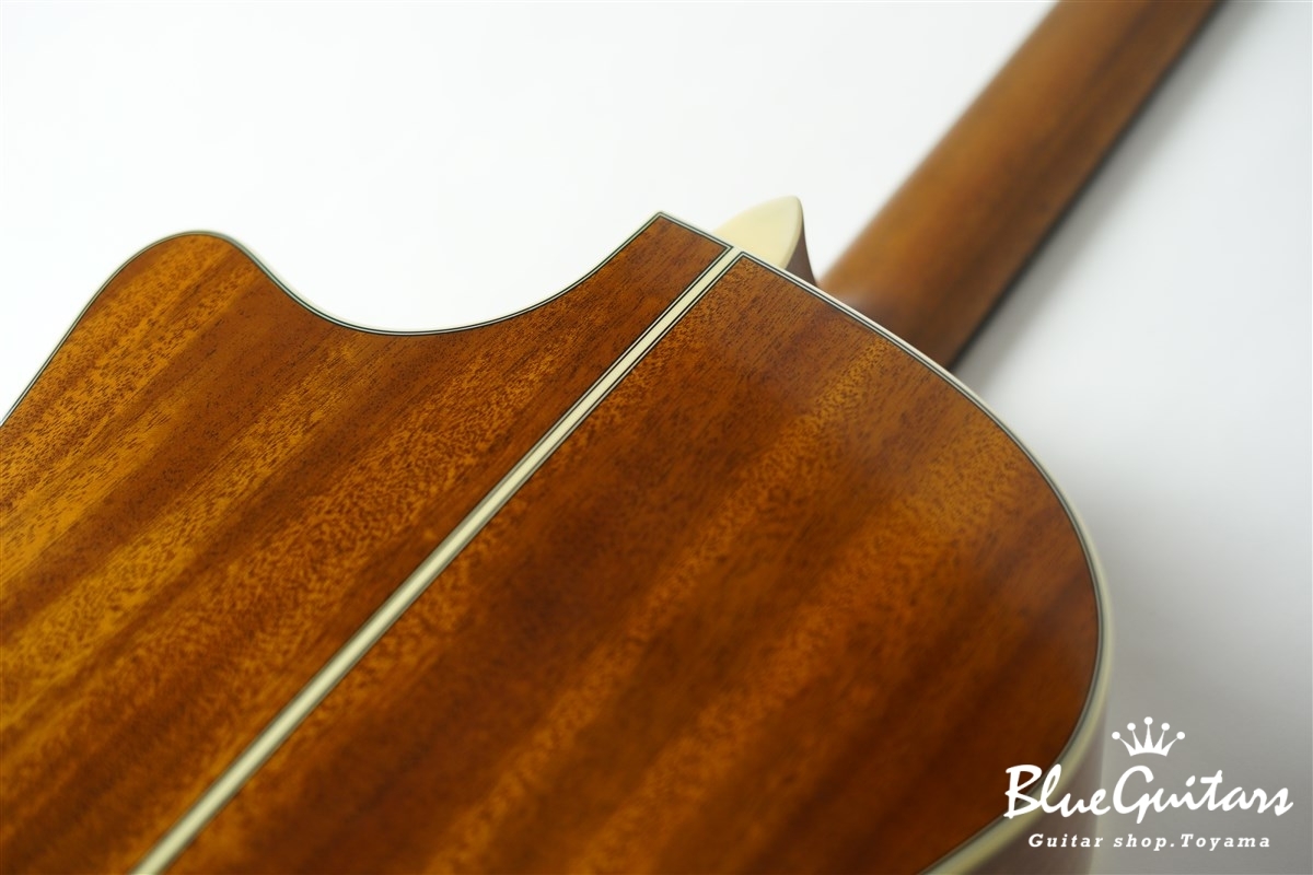 F120-GA Sitka Spruce / African Mahogany