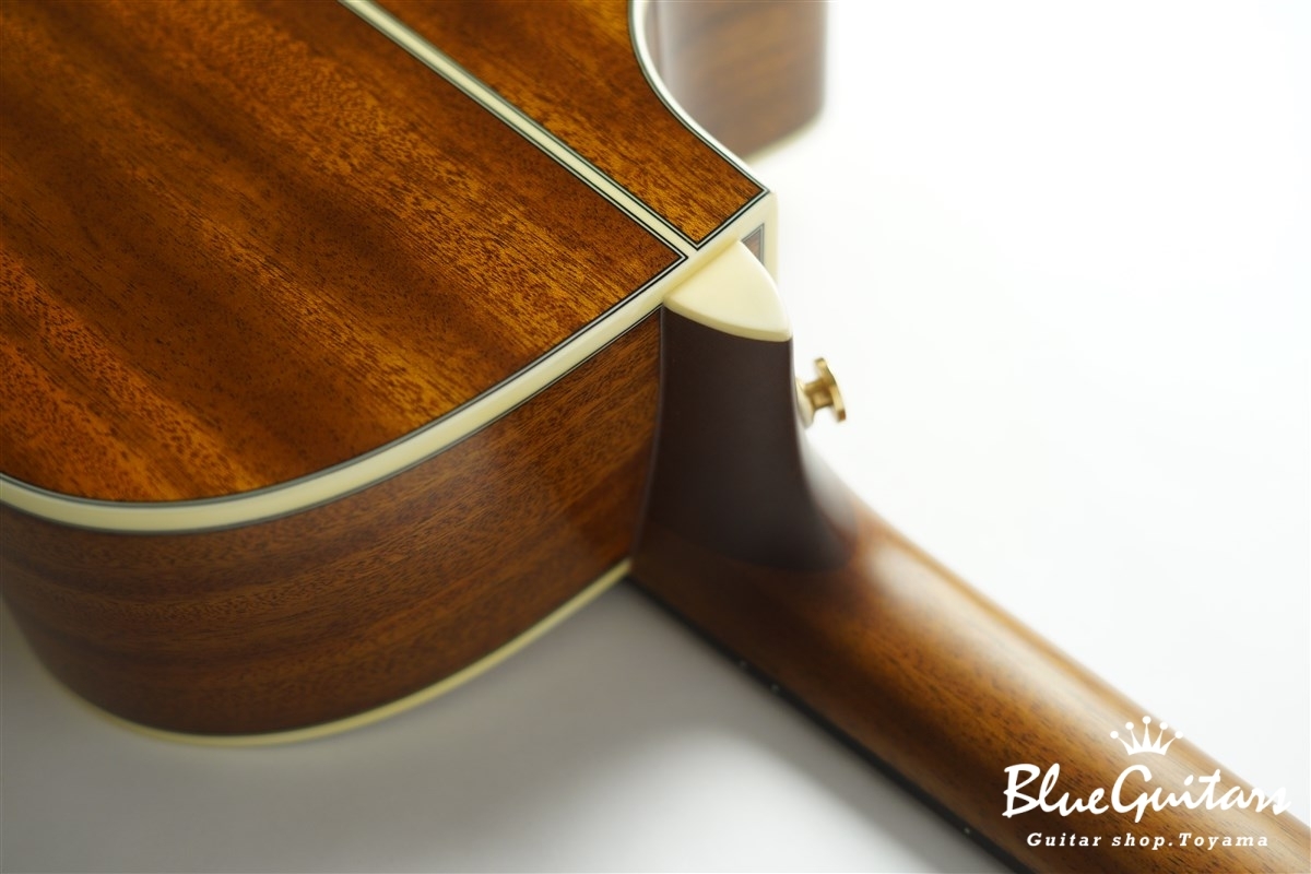 F120-GA Sitka Spruce / African Mahogany
