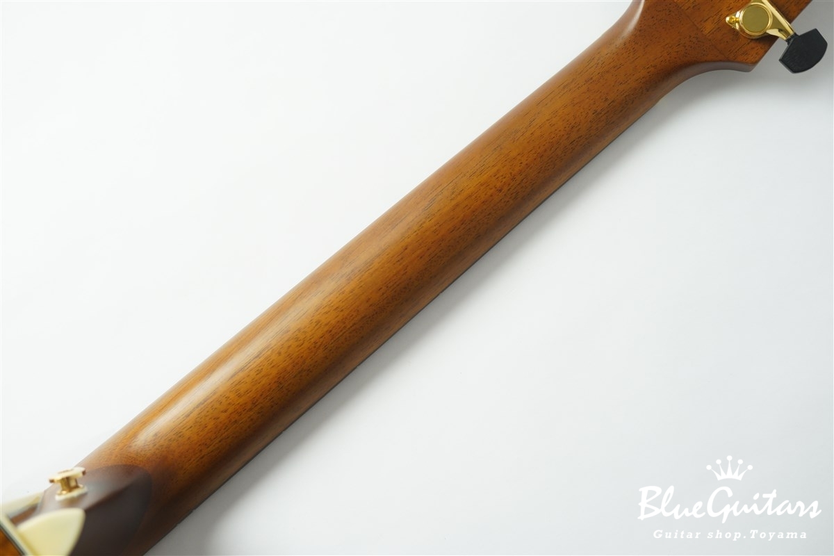 F120-GA Sitka Spruce / African Mahogany