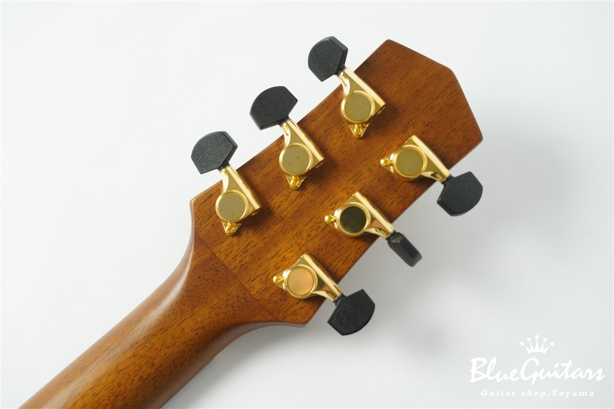 F120-GA Sitka Spruce / African Mahogany
