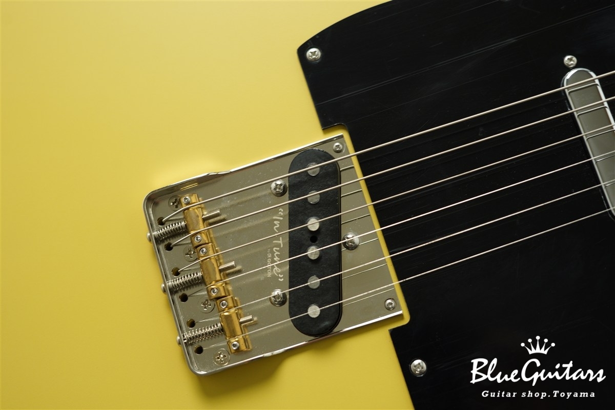 S-622CST Alder/Maple - Mustard