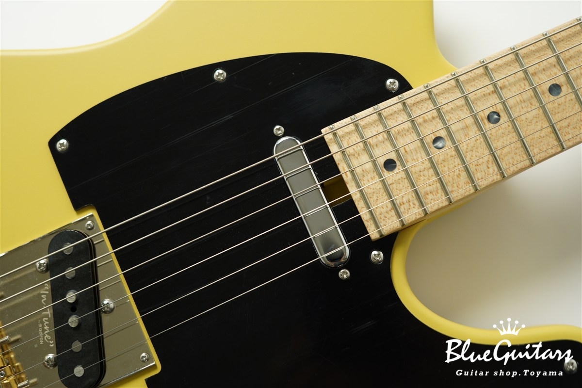 S-622CST Alder/Maple - Mustard