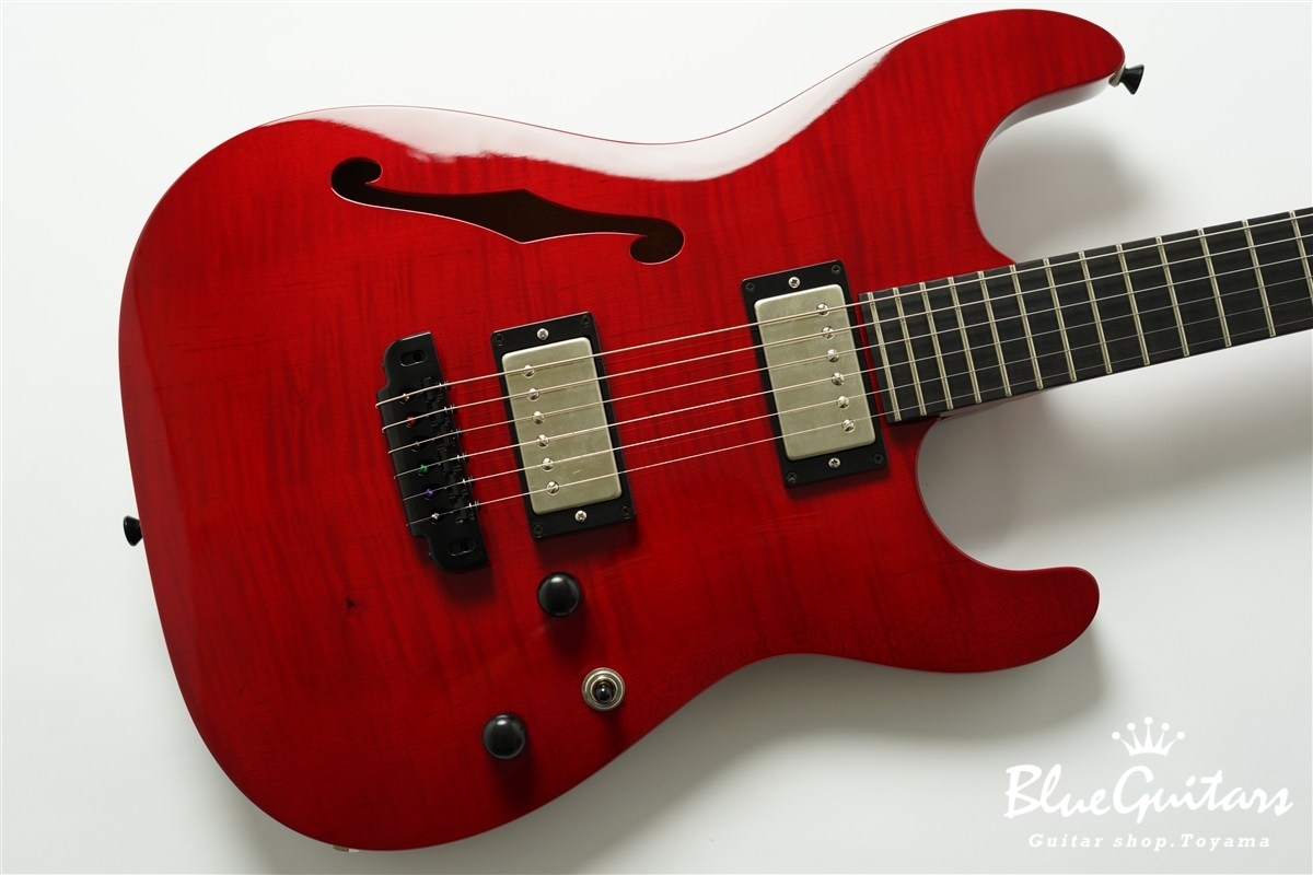 622 BEYOND Maple Top Model - Trans Red
