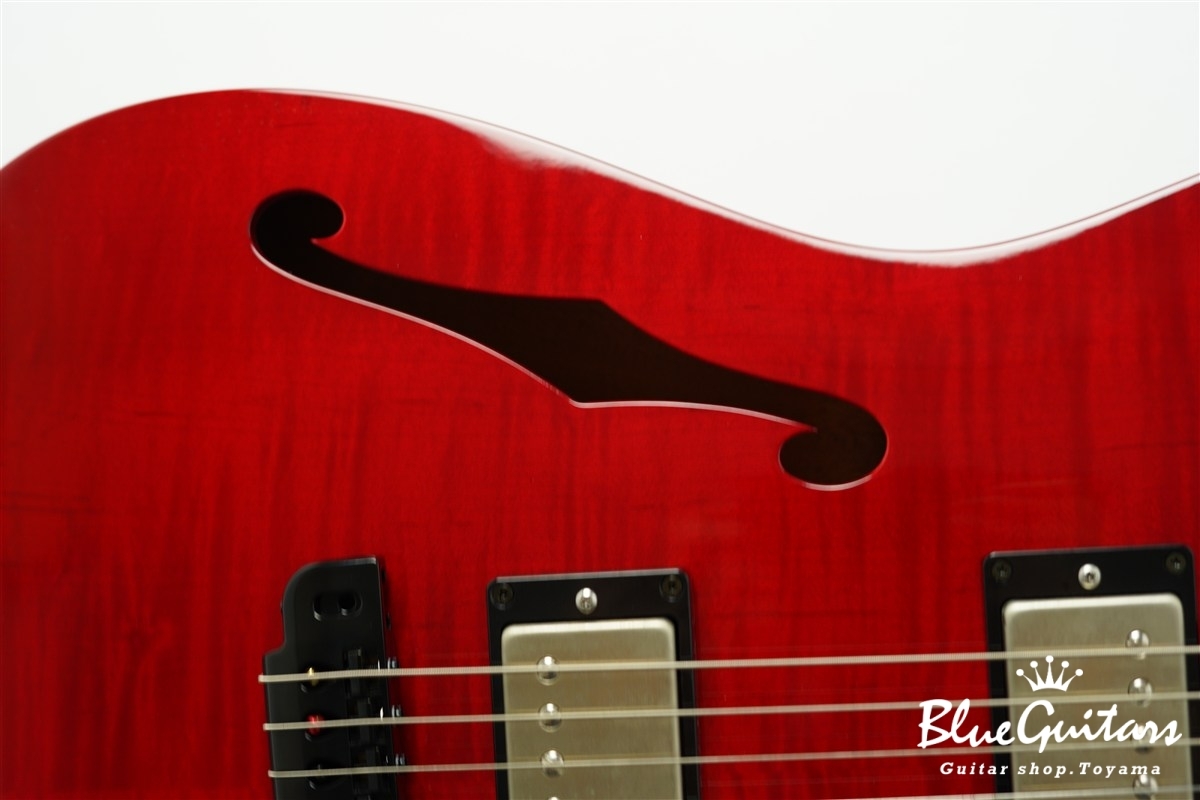 622 BEYOND Maple Top Model - Trans Red