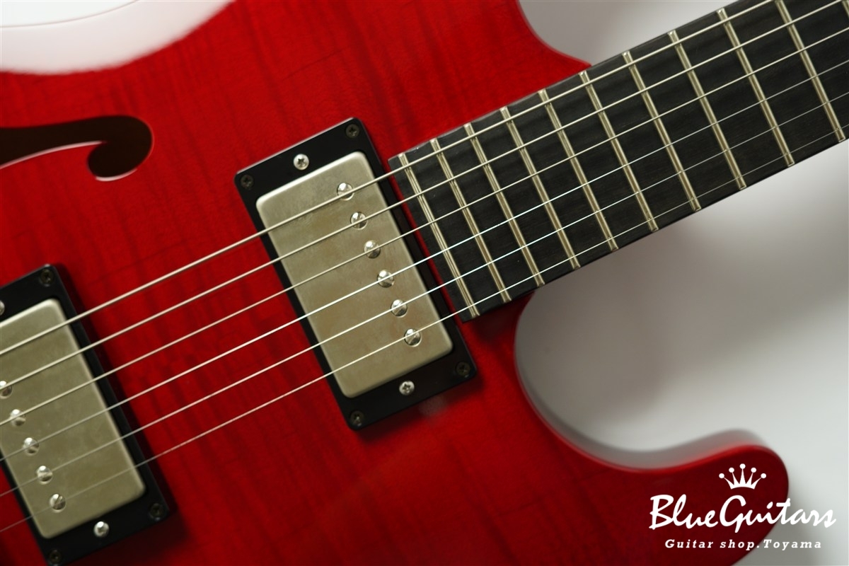 622 BEYOND Maple Top Model - Trans Red