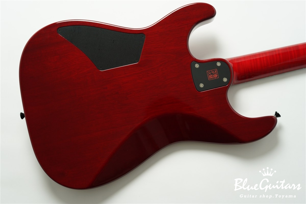 622 BEYOND Maple Top Model - Trans Red