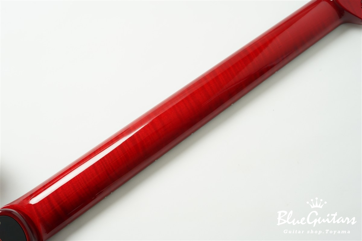 622 BEYOND Maple Top Model - Trans Red