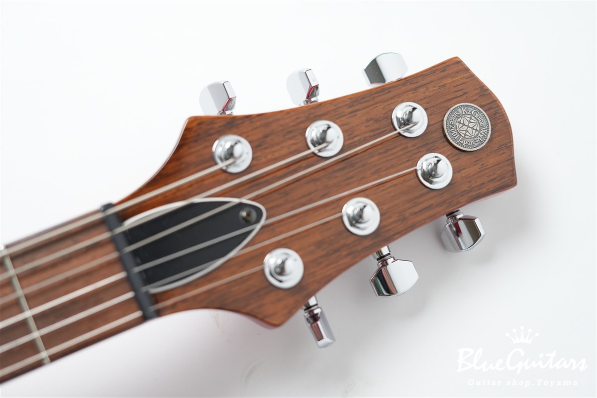 Blue Guitars ONLINE