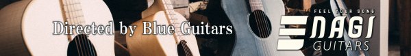 nagi guitars