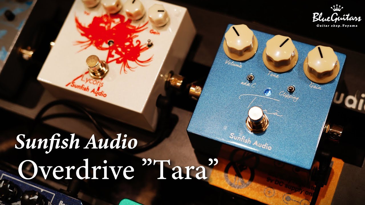 Hata Mireille Chevalier Overdrive | eBay