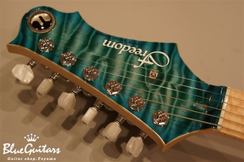 HYDRA 2point-24F QM/M - BDM 【2017 NAMM SHOW MODEL】