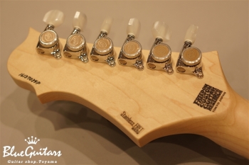 HYDRA 2point-24F QM/M - BDM 【2017 NAMM SHOW MODEL】