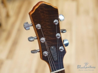 Arcus Semihollow - Amber