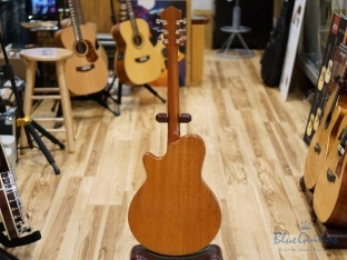 Arcus Semihollow - Amber