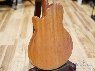 Arcus Semihollow - Amber